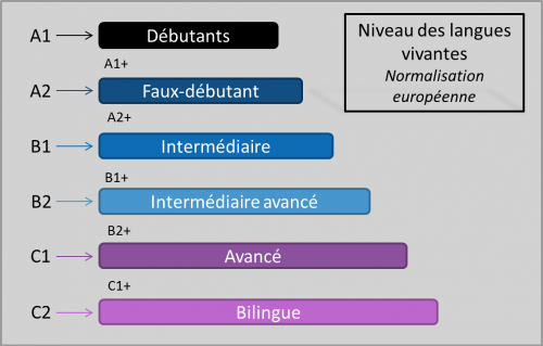 niveau-langues